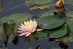 SK2_5295