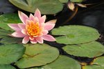 SK2_5297