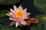 SK2_5300