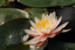 SK2_5301