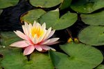 SK2_5302