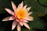 SK2_5306