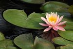 SK2_5307