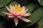 SK2_5311