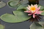 SK2_5313