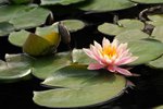 SK2_5314