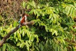 SK2_5360