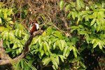 SK2_5362