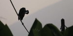 SK2_1674