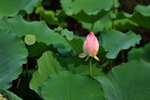SK2_3081