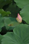 SK2_3085