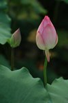 SK2_3089