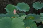 SK2_3100