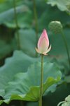 SK2_3101