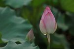 SK2_3103