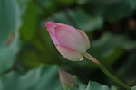 SK2_3104