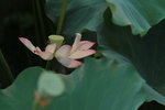 SK2_3106