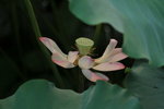 SK2_3107