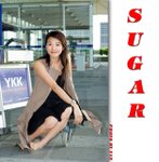 Sugar013