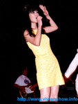 C7336