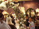 DSC02582