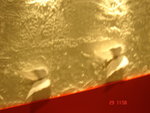 照片 177