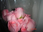 DSC02519