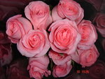 DSC02520