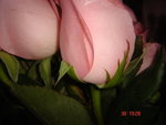 DSC02527