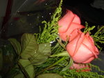 DSC02670