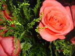 DSC02671