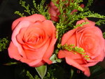 DSC02672