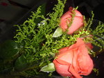 DSC02676