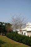 IMG_0973
