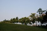 IMG_0988