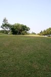 IMG_0991