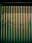 IMG_3259