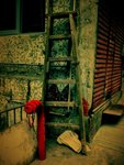 IMG_3274