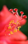 IMG_3114