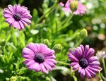 IMG_3169