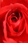 IMG_3191