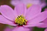 IMG_3236