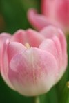 IMG_3245