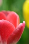 IMG_3313