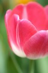 IMG_3319