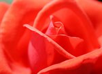 IMG_3337