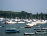 IMG_3107