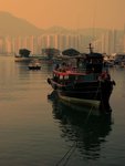 IMG_3295