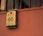 IMG_3304