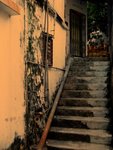 IMG_3305